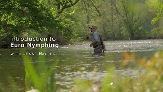 Intro to Euro Nymphing  Orvis Learn to Fly Fish [upl. by Aivatan917]