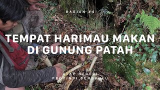 GUNUNG PATAH  Atap Negeri Bengkulu 4 [upl. by Karame]