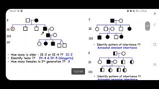 Genetics lab revision MSK [upl. by Anerbas]