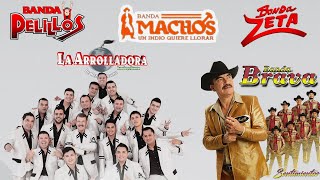 Tecno Bandas Movidas Mix 2024  Banda Cuisillos Banda Machos Pequeños Musical La Arrolladora [upl. by Urban832]