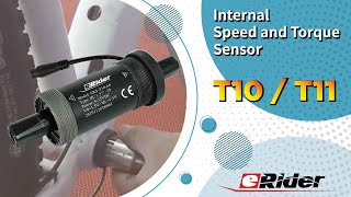 eRider Internal Speed and Torque Sensor  T10T11 [upl. by Nagol]