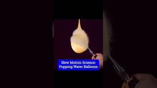 Water Balloons Burst SlowMotion Science [upl. by Lamarre]