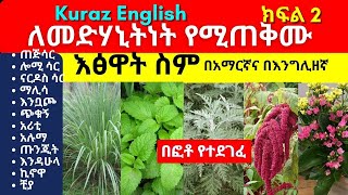 ለመድሃኒትነት የሚጠቅሙ እፅዋት ስም  Names of Ethiopian medicinal plants and herbs  Part 2 [upl. by Naivad]