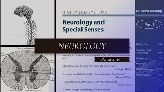 🧠 USMLE Neurology  Neuroanatomy  Spinal Cord  بالعربي  Part 1 [upl. by Whiney751]