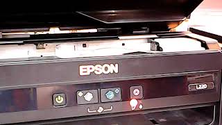 how to reset EPSON L220 Service Required Part1 [upl. by Acirne345]