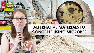 Using Bacteria and Fungi to Create Alternative Materials to Concrete [upl. by Oileve]