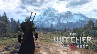 The Witcher 3 Next Gen  Peaceful Walk on Skellige  Music amp Ambience [upl. by Ominorej]