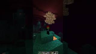 TOCA CHAMBEAR SI O NO RAZA minecraft minecraftamigos minecraftjokes wither [upl. by Elatsyrk]