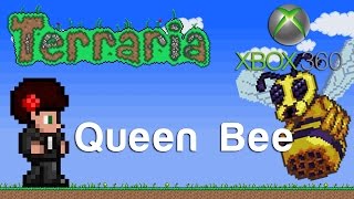 Terraria Xbox  Queen Bee 83 [upl. by Nwahsyd]