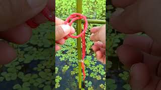 Most effective Lashing knot Idea for you of Tying rope knot57 [upl. by Ynad]