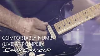 David Gilmour  Comfortably Numb Live At Pompeii [upl. by Anya]