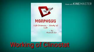 Working of Clinostat Experimental Biology [upl. by Oilla]