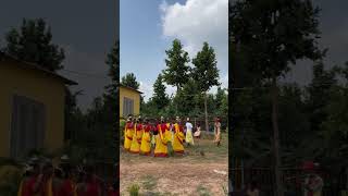 Beautiful girls dance😘🤩dance sambalpuri sambalpurisong shorts durgeshnandini groupdance viral [upl. by Ycnalc]