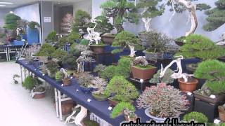 Kokufu Bonsai Ten Market 2015 Part 2 Japan By Jose Acuña Centro Bonsai Tenerife [upl. by Ayana]