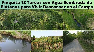 Finca de 13 Tareas con Agua y Sembrada de Plátanos y Limones ideal para hacer tu Casa en el Campo [upl. by Apollo]