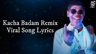 Badam Badam Dada Kacha Badam LyricsBhuban Badyakar Amar Kache Ache Sudhu Kacha Badam Remix Lyrics [upl. by Atlee]