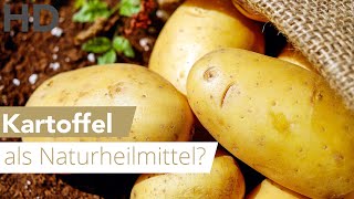 Kartoffel DAS wusstest du noch nicht über sie [upl. by Mellar189]