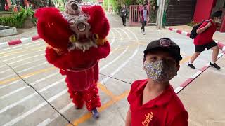 Chinese New Year 2022 Ascot international school [upl. by Eatnhoj]