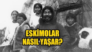 Eskimolar Nasıl Yaşar  Eskimo Belgeseli  Nanook of The North [upl. by Wynny]