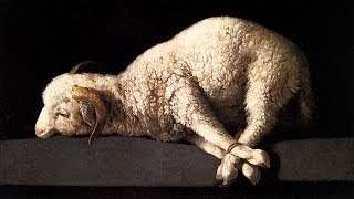 ANIMAL SACRIFICE IN THE BIBLE [upl. by Baptista]