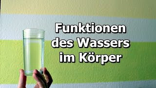 Funktionen von Wasser im Körper [upl. by Valma]