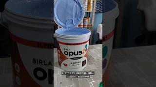 Birla Opus Paints Calista Neo Star Exterior Waterproof amp Dust proof birlaopus birla birlaopus [upl. by Uht]