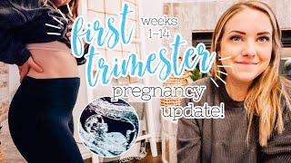 FIRST TRIMESTER PREGNANCY UPDATE  TTC To 14 Weeks [upl. by Stafford224]