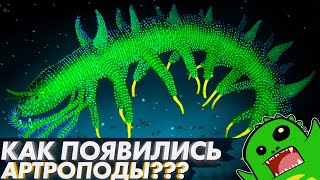 ОТКУДА появились АРТРОПОДЫ Часть №1  ЭВОЛЮЦИЯ АРТРОПОД  Онихофоры  Аномалокарис  Тихоходка [upl. by Eyanaj936]