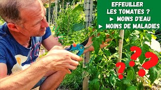 Bien soccuper de ses plants de tomates ► Effeuiller  Arroser  Tailler [upl. by Lleder]