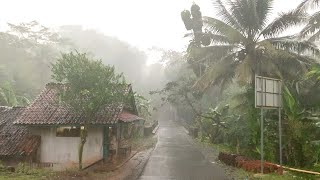 Walk in Heavy Rain and Thunderstorms in Rural Indonesia  ASMR Nature Sounds for Sleep [upl. by Hapte736]