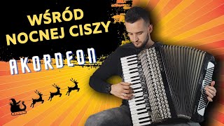 Wśród nocnej ciszy  Akordeon cover [upl. by Ahsiniuq286]