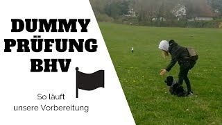 So läuft eine Dummy Prüfung für den Hund beim BHV [upl. by Jankey578]