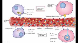 BIOL 201 October 30 [upl. by Ermey]