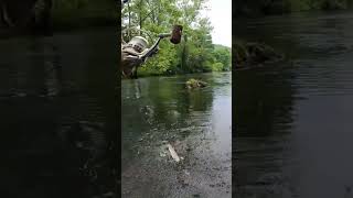 Trout Fishing Oconaluftee [upl. by Yroggerg]