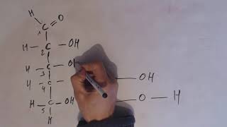 Biochimie  Le Ribose réaction dhémiacétalisation cyclisation de la chaîne linéaire du ribose [upl. by Nahej]