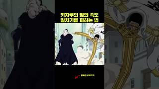 빛의 속도 발차기를 피하는 방법 키자루 물리학 원피스 [upl. by Annoya]