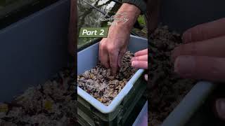 Specialist Feeder fishing for Roach on still waters PART 2 [upl. by Arymat]