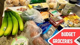 Healthy Grocery Haul on a Budget [upl. by Emyle]