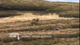 Grandes chasses en Ecosse [upl. by Oderfodog]