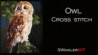 Owl Cross Stitch [upl. by Rodenhouse428]