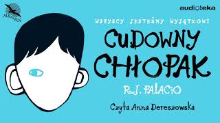 quotCudowny chłopakquot  audiobook [upl. by Parthen]