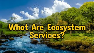 What Are Ecosystem Services Nature’s Essential Benefits [upl. by Cowden]