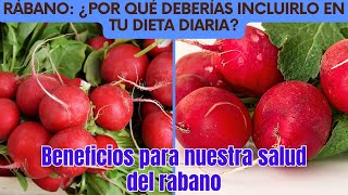 Rábano ¿Por Qué Deberías Incluirlo en tu Dieta Diaria [upl. by Cale288]