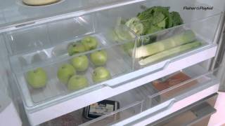 RF540ADUSX Fisher and Paykel American Fridge Freezer Review [upl. by Maurreen]