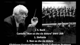 J S Bach  Secular Cantata quotNon sa che sia dolorequot BWV 209 13 [upl. by Aridatha]