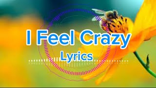 Aeden amp Joelle  I Feel Crazy  Future House  Lyrics  NCS [upl. by Eetsud698]