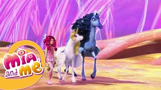 Mia and me  Season 2 Episode 22  The Rainbow Spring [upl. by Enelhtak]