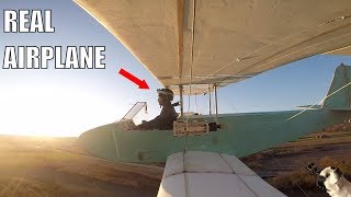 HomeMade Electric Airplane [upl. by Slaohcin]