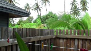 kuredu island  maldives room 311 o resort villa walkround and view [upl. by Eliseo]