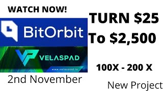 Turn 25 To 2500 With This New Project BitOrBit 100X  200X Launching On Velaspad  How To Buy [upl. by Ayifas]